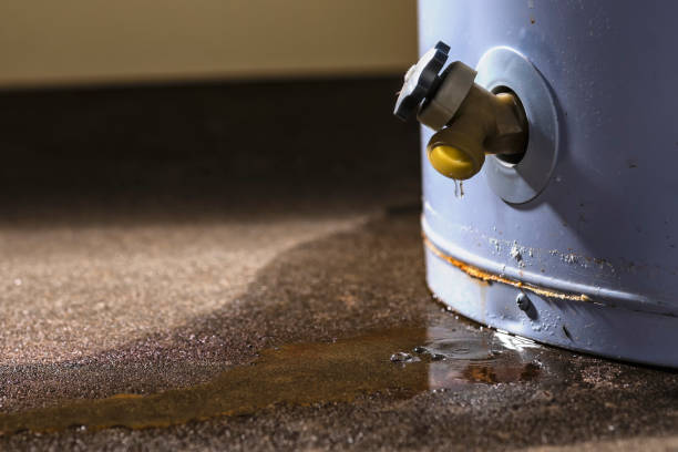 Carpet water damage restoration in IA