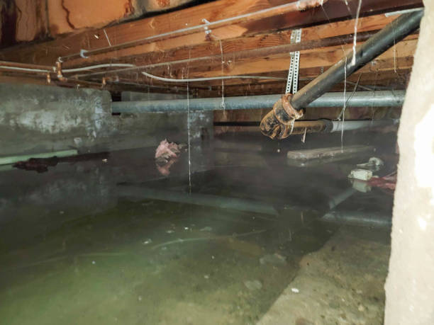 Best Water damage cleanup near me  in Audubon, IA