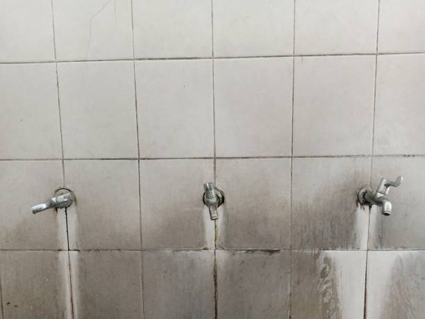 Best Water damage restoration experts  in Audubon, IA