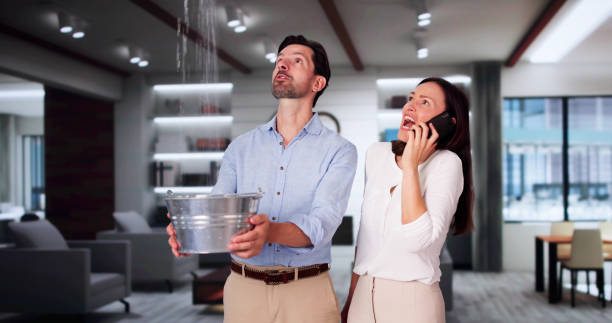 Best Water damage restoration near me  in Audubon, IA